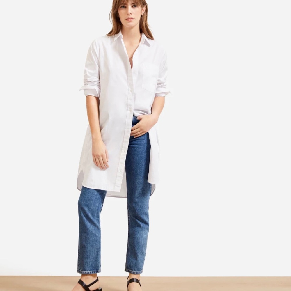 Everlane Cotton Shirtdress